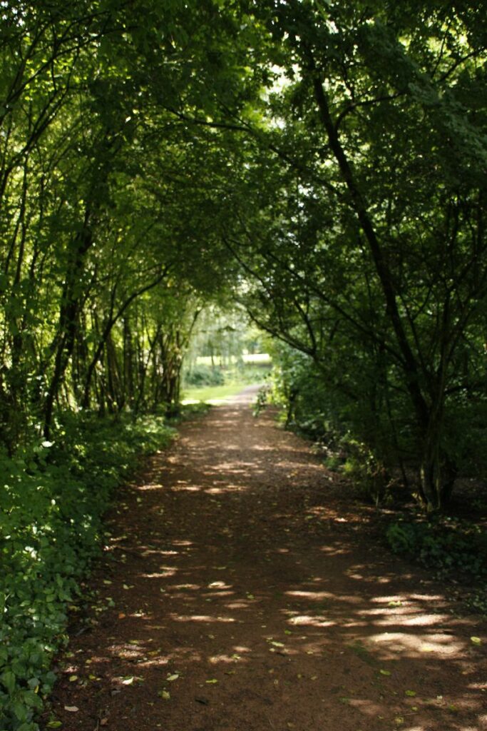 Parc de la clarence